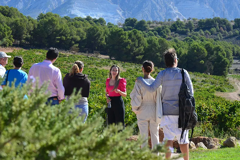 visita bodega señorio de nevada