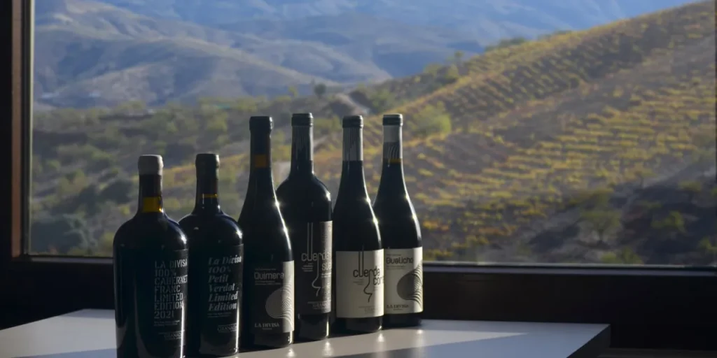 la divisa vinos
