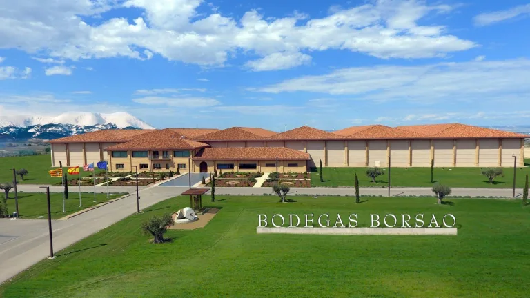 bodegas borsao aerea